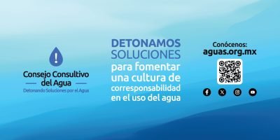 Consejo Consultivo del Agua